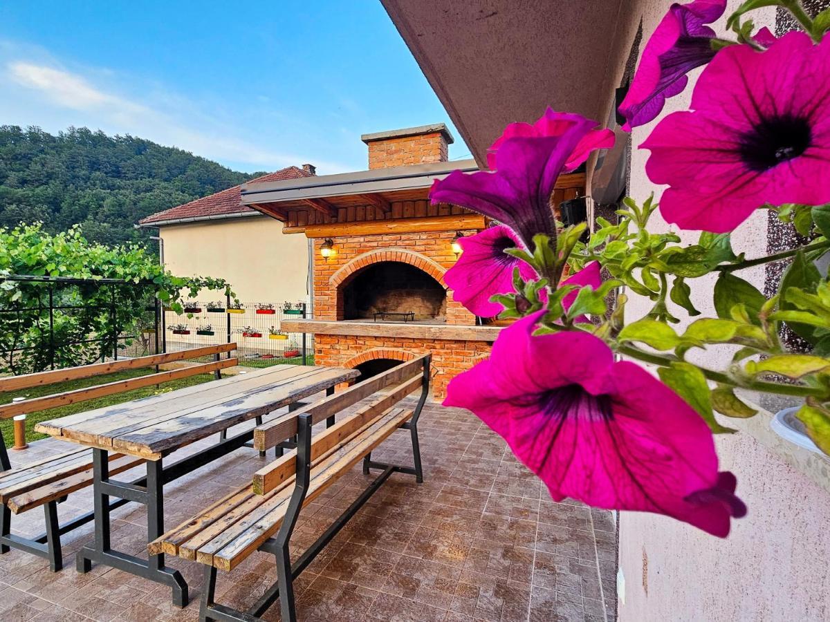 Kuca Za Odmor Ceif Villa Dropci ภายนอก รูปภาพ